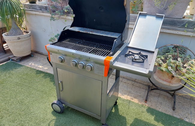 INDIGO TLV - Foto 21