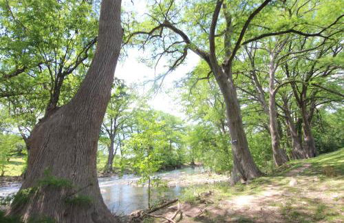 Rose' River Retreat - Photo 23