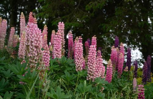 Barclay’s But n Ben - Foto 48