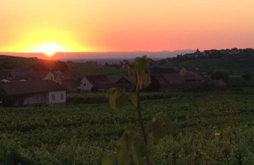Gite Le Mandlé - Photo 71
