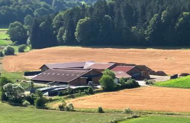 Mattheishof - Foto 19