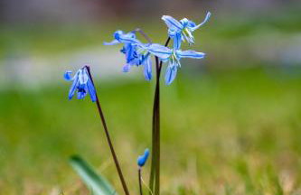 Ostoya Sulistrowiczki - Foto 19