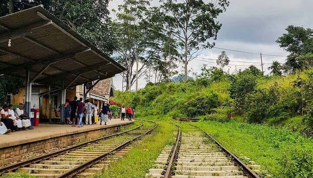 Ella Private Tour - Foto 3