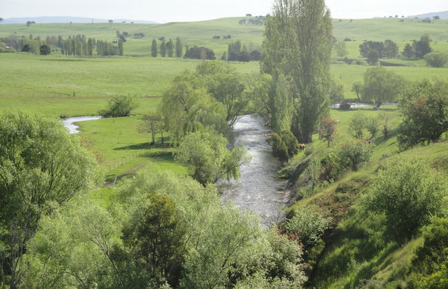 Delatite Apartments Merrijig - Foto 35