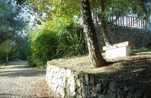 Quinta da Chouza Agroturismo e Enoturismo - Foto 56