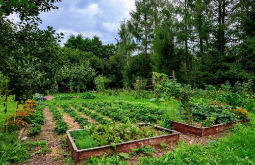 Zielona Zagroda Agnieszka Połeć - Foto 35