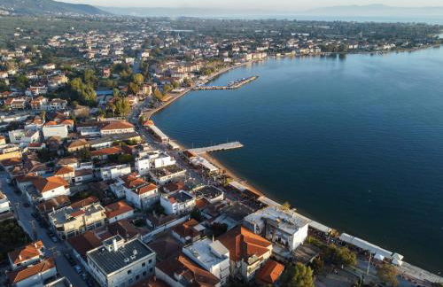 The backyard- Κατοικία στην Αγριά, Βόλου - Foto 40