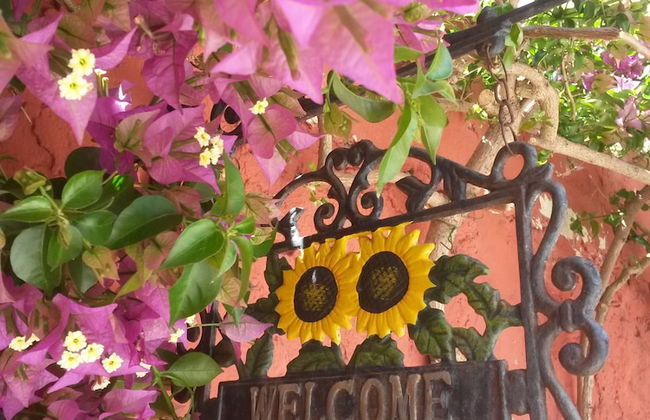 La Coccinella - Foto 14