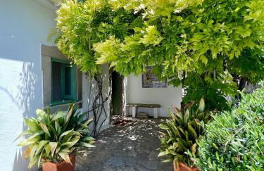 Casa Martim - Foto 1