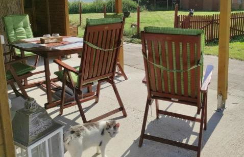 Lichtdurchflutete Dachgeschosswohnung mit Charme - Photo 20