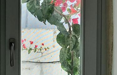 Tristrato - Photo 21