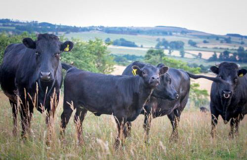 West Cottage, Southlands Farm, Gunnerton - Foto 36