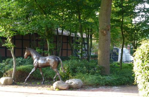 Große Ferienwohnung, auf Bauernhof mit Ponys und Pferden, ländlich und ruhig, Nähe Dümmer See - Photo 18