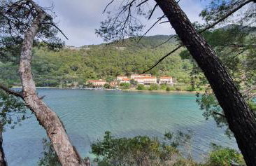 Apartmani Pjevalo-Mljet - Photo 12