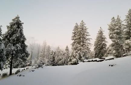 Starlink Mariposa Yosemite mountain retreat - Foto 18