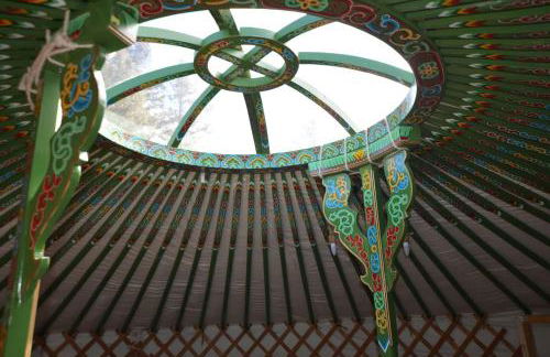 Green Yurt with Hot Tub - Sleeps 3 Parking & Pets - Photo 3
