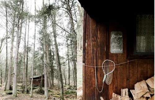 Rustic Cabin Retreat on the Ten Mile River in Narrowsburg, New York - Foto 33