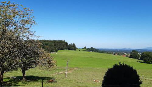 Prassberger Urlaub auf dem Bauernhof - Foto 2