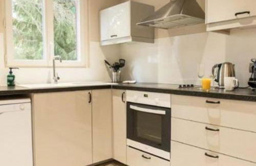 Le pic-vert - Foto 14