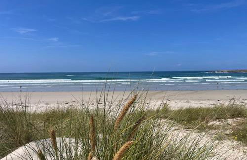 Les coquilles la Torche - Photo 21