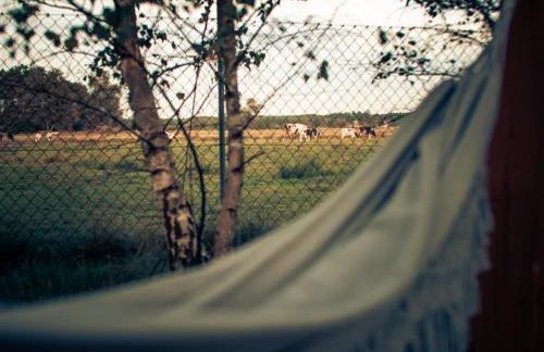 Osada Puszczy Śpiew - Foto 35