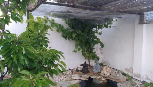 Granja Colibrí,con piscina - Foto 3