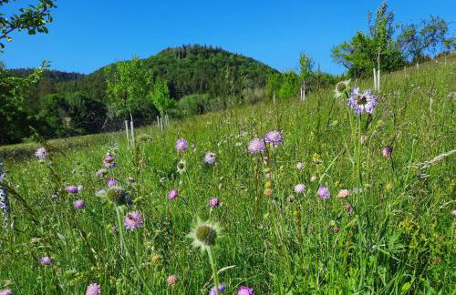 Ferienwohnung Im Eyachtal - Foto 22
