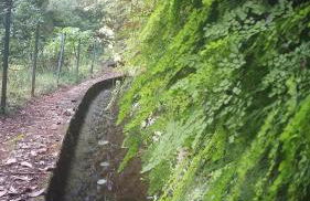 Casa Shalom - Foto 21