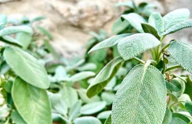 Borgo del Sole - Foto 38