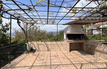 Panorama Studio - Foto 20