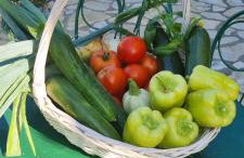 Senkini Dvori - Photo 14