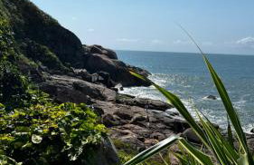 Apartamento 16 - Foto 44