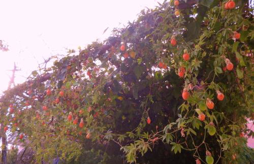 Kostas studios - Foto 31