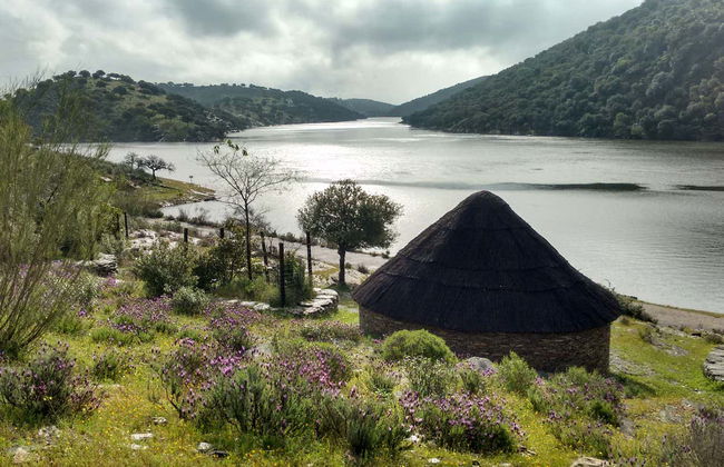 Observation d'oiseaux à Monfragüe - Photo 6