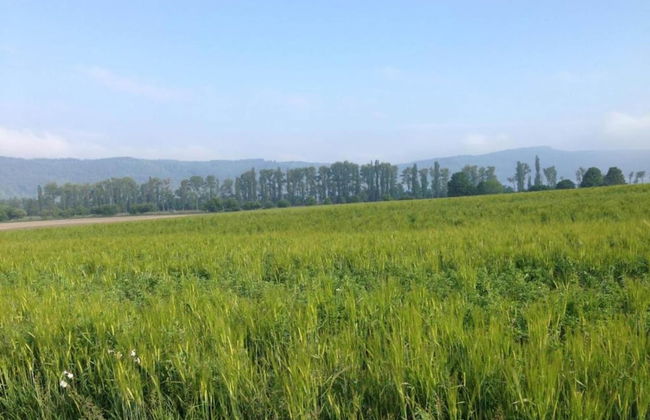 Spacious Holiday Home in Ulmen Near the Centre - Foto 26