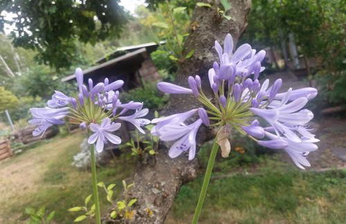 Apartment GNUBBEL am Wald - Foto 13