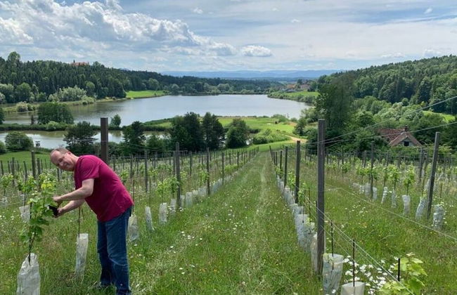 Gut Hornegg am Spiegelsee - Good Luise - Foto 15