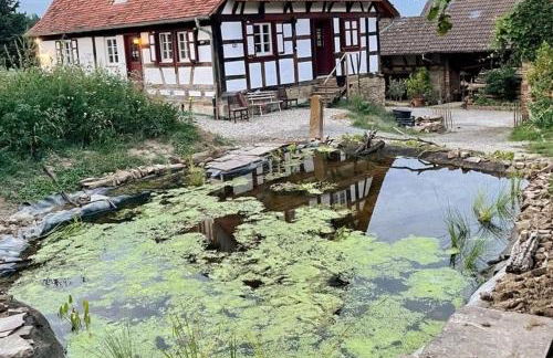 Öko-Fachwerkhaus am Schwarzwald - Foto 27