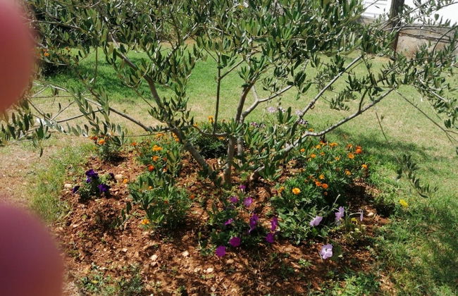 Anka - Comfortable and Affordable - A2 - Foto 10