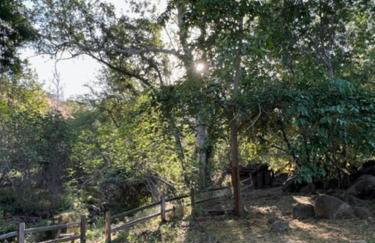 River Retreat near Sequoia National Park - Foto 30