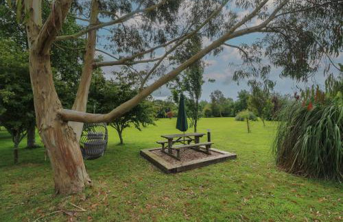 Little Willow - Foto 2