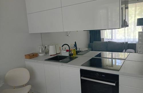 Apartament Batorego - Foto 5