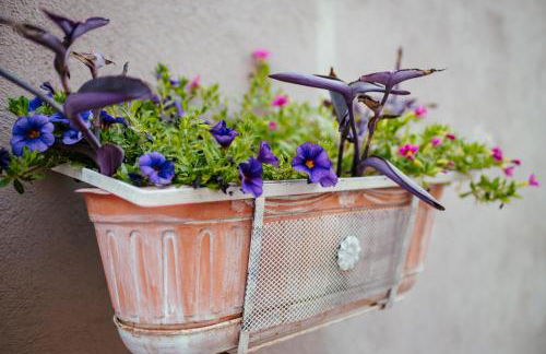 Casa Vacanze VENUS - Foto 74