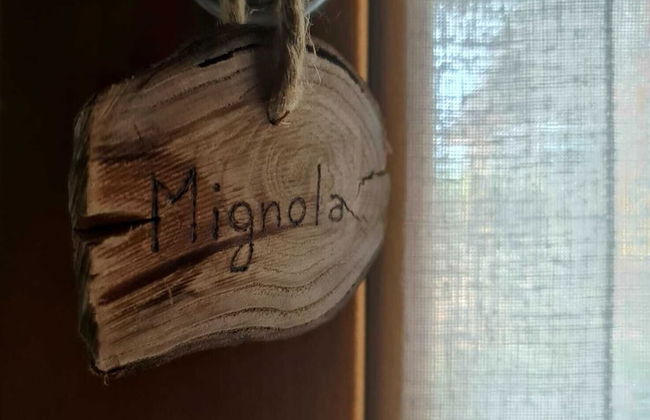 Agriturismo Corte Degli Ulivi - Foto 13