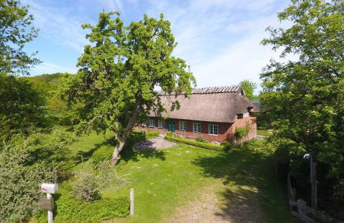 Reetdachkate Fuchsgraben - naturnah & stilvoll mit Wald-Sauna - Foto 48