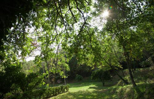 Agriturismo La Vecchia Quercia - Foto 36