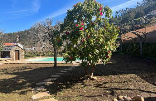 Casa do Adro-Passadiços do Paiva Arouca - Foto 7