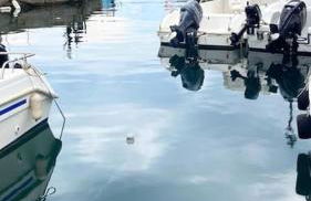 Charmantes Altstadthaus mit Dachterrasse - Foto 31