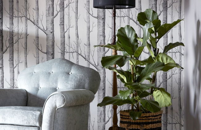 Majeka House - Foto 40