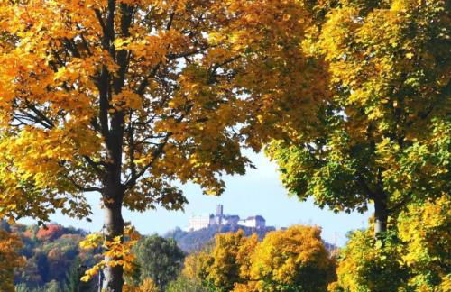 Schöne Ferienwohnung „Zum Glück Tropical“ - Foto 18